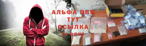 сатива Армянск