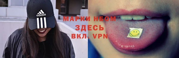 сатива Армянск