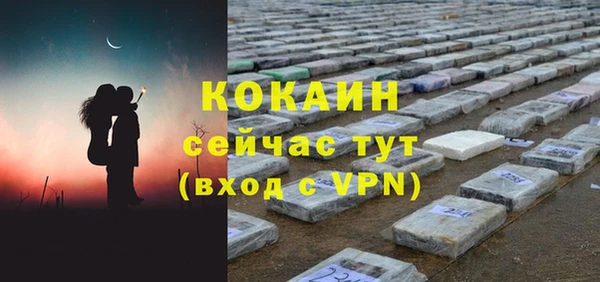 сатива Армянск