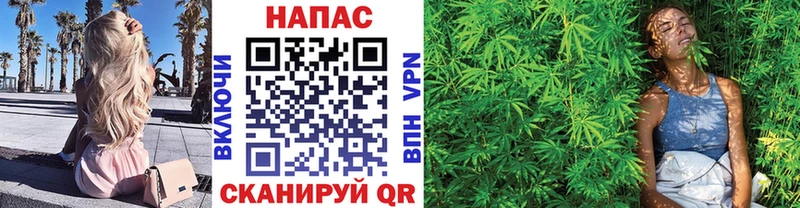 Канабис планчик  дарнет шоп  Далматово 